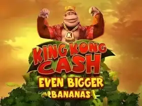1xbet ozbekcha